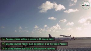 Онлайн сервис зоотакси PetsCar. Промо-ролик.