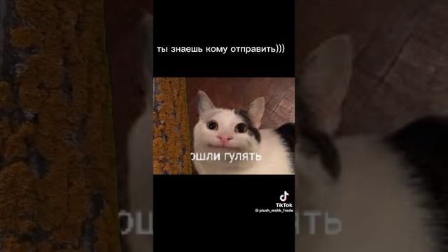 Ты знаешь кому отправить смотреть онлайн