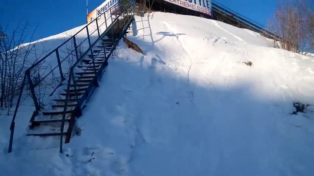 ЛИСА В ГОРОДЕ! г.Дзержинский (05.02.17) смотреть онлайн