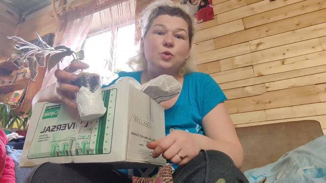 В каких делах мне помогает домовой мой. Новые цветочки 🥰 смотреть онлайн