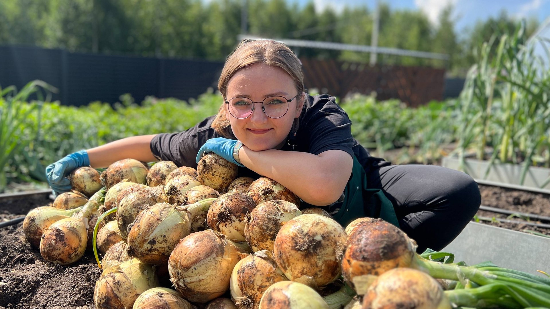 КАК ПОСЕЯТЬ ЛУК СЕМЕНАМИ И ПОЛУЧИТЬ ОГРОМНЫЙ УРОЖАЙ? Лук чернушка, Эксибишн, семейный смотреть онлайн