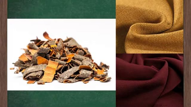 Дикорастущие кустарники смотреть онлайн