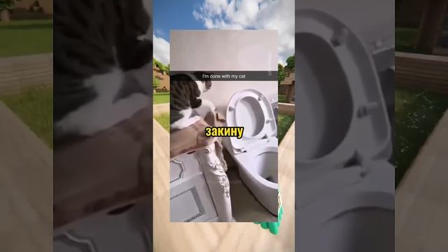 cat meme funny. смотреть онлайн