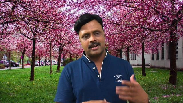 What is ERP? Explained in Telugu Why ERP software is used? (In Telugu) смотреть онлайн