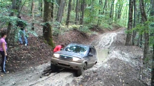 suzuki смотреть онлайн