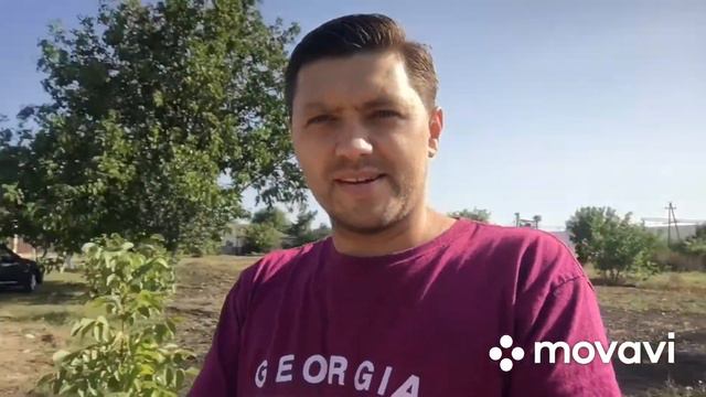 Семенной картофель на 2021 год смотреть онлайн