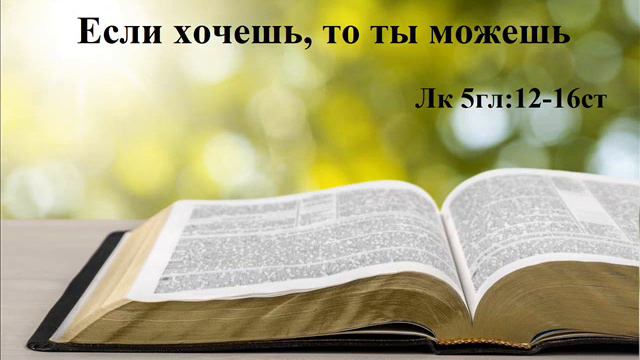 Если хочешь, то ты можешь. Лк 5гл:12-16ст Горбачев Е.А. МСЦ ЕХБ смотреть онлайн