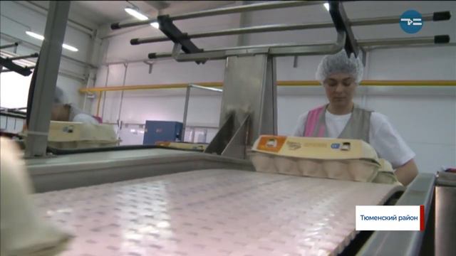 15 миллионов освящённых яиц смотреть онлайн