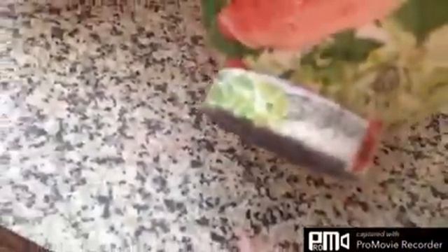 Красивое подвесное кашпо из пластиковой бутылки. смотреть онлайн