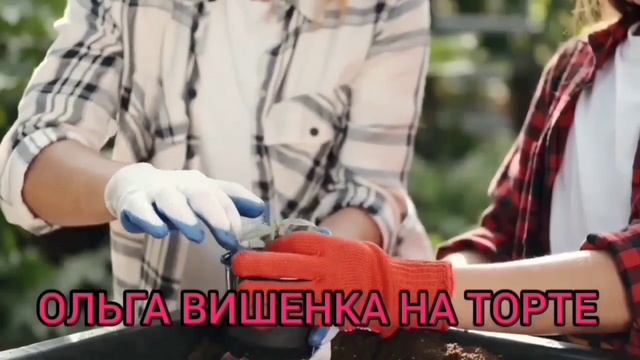 НИНКА-МУСОРКА К ПРИЗЫВУ ГОТОВА! ПИРАТСКАЯ ЖИЗНЬ. смотреть онлайн