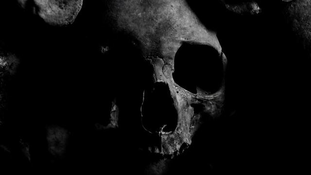 The Bloody Story of the Elder Wand (All Owners) - Harry Potter Explained смотреть онлайн