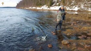 🏠 ДОМ ЛОСОСЯ 🦈 (ловля лосося 2023, Кольский полуостров)