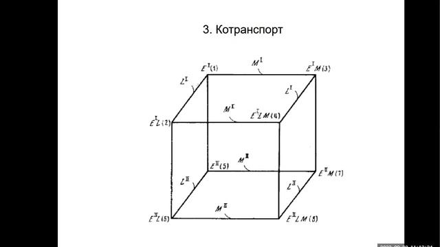 08 enzymes 3 смотреть онлайн