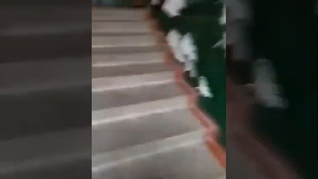 Потоп в подъезде смотреть онлайн
