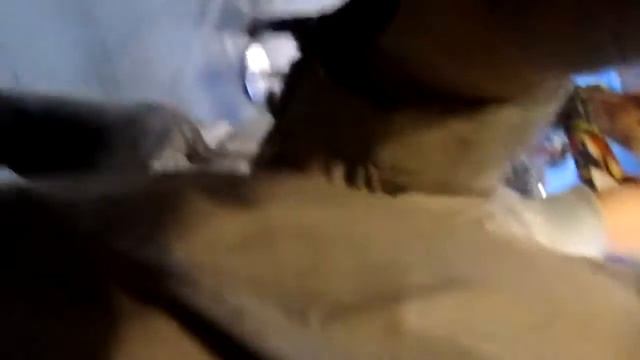Встреча группы Scooter в Санкт-Петербурге 30.11.2012 (Афтографы и фото) (Часть 1) смотреть онлайн