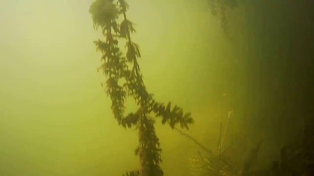 Дно р.Сейм с.Клепалы Украина Ч.2 смотреть онлайн