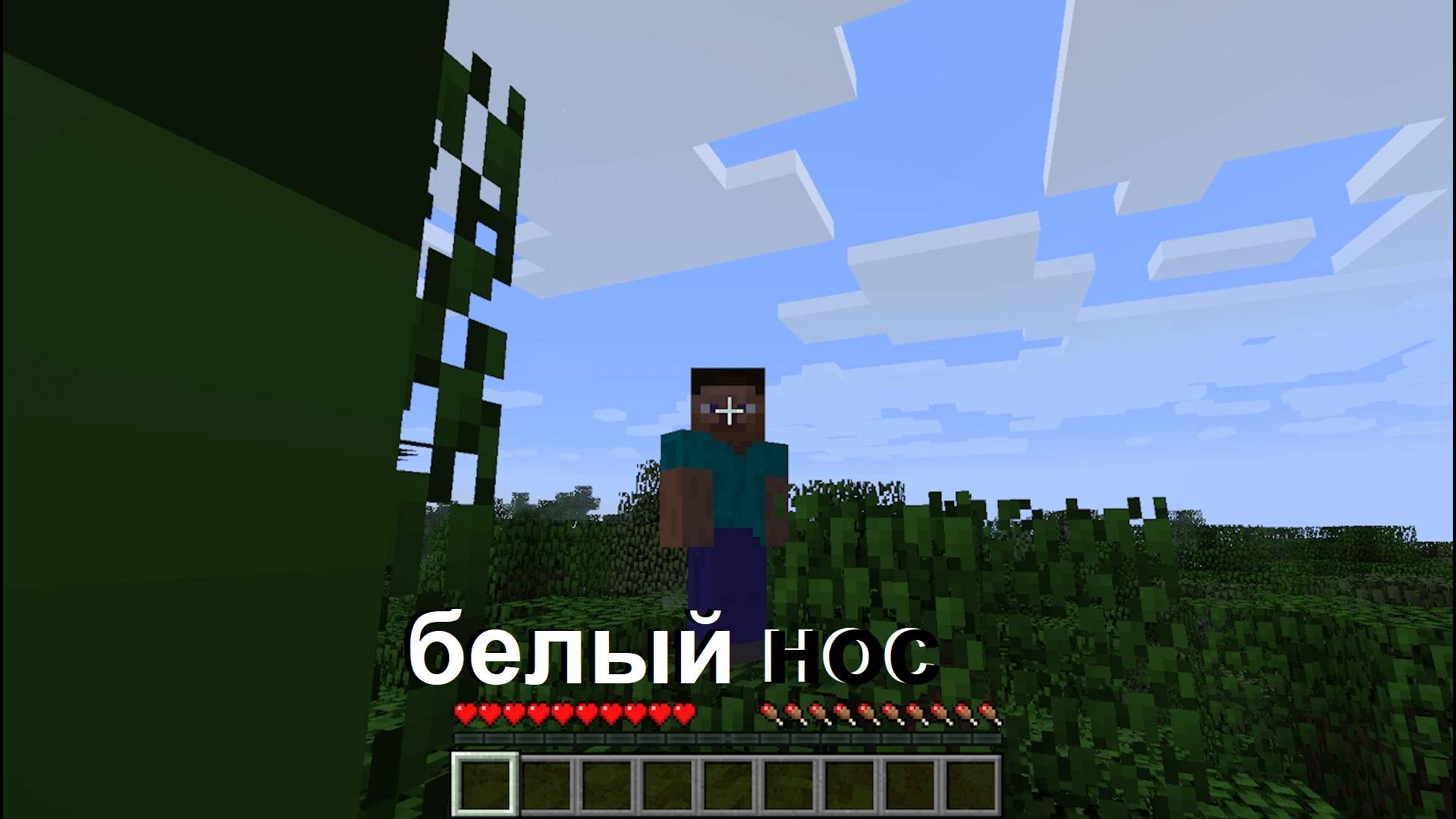 minecraft но каждую серию я меняю версию часть 1