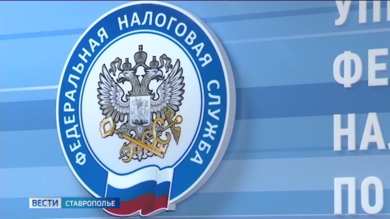 Участники СВО и их семьи освобождаются от транспортного налога смотреть онлайн