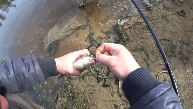 ФИДЕР. ОТКРЫТИЕ СЕЗОНА. КАНАЛ. БЕЛОЯРСКОЕ ВОДОХРАНИЛИЩЕ. (SONY HDR AS50). смотреть онлайн