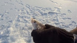 Подлещик на чертика.