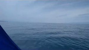 надувная лодка под парусом на иссык куле 2021