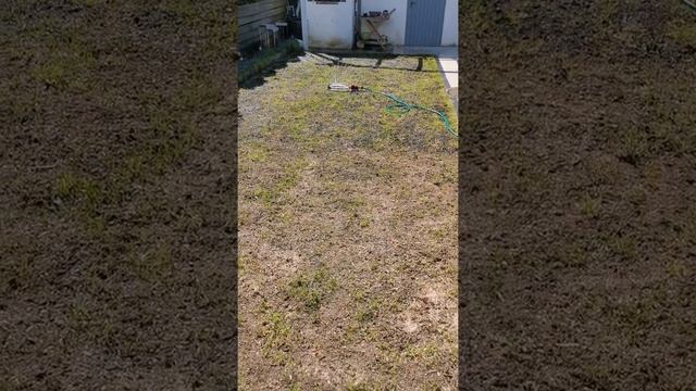 #Shorts#Самополив! Зеленый Газон! Идем к цели! смотреть онлайн