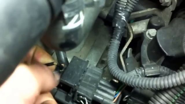 Кулинарный рай