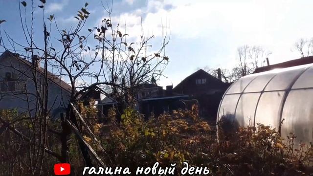 ВЛОГ:Превратила Цветник с Лилиями В КОМПОСТ@user-9819 смотреть онлайн