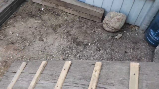 Двухуровневый выгул для кур своими руками.