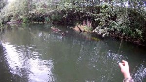 копии воблеров OSP Varuna и ZipBaits Orbit 110 SP на малой реке