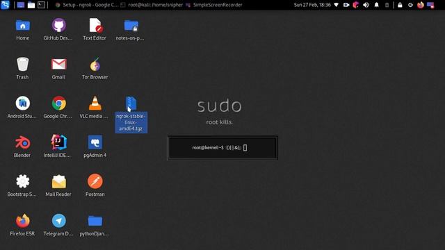 How to install ngrok without error of ngrok command not found #ngrok #Kali Linux смотреть онлайн