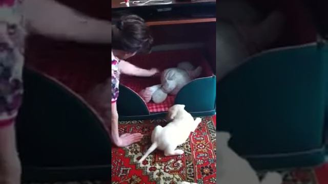 Малышка Рэма второй день в новом доме смотреть онлайн