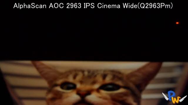 AlphaScan AOC 2963 IPS Cinema Wide(Q2963Pm) Viewing Angle Test смотреть онлайн