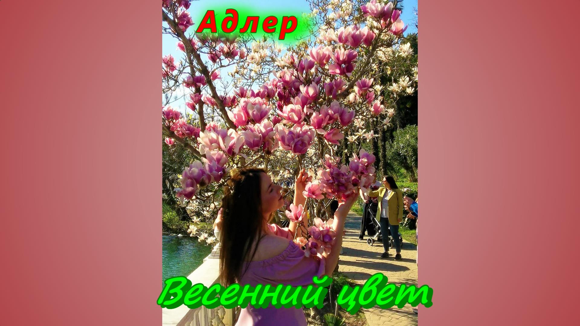 Весенний цвет в Адлере сегодня смотреть онлайн