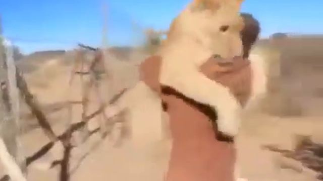 Вот что значит любовь к животным смотреть онлайн