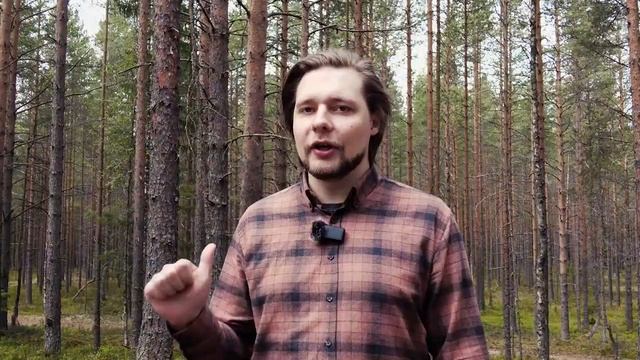 Водопады Карелии: как добраться до лучших. Белые мосты Роскелакоски Пёюхинкоски Прокинкоски и др