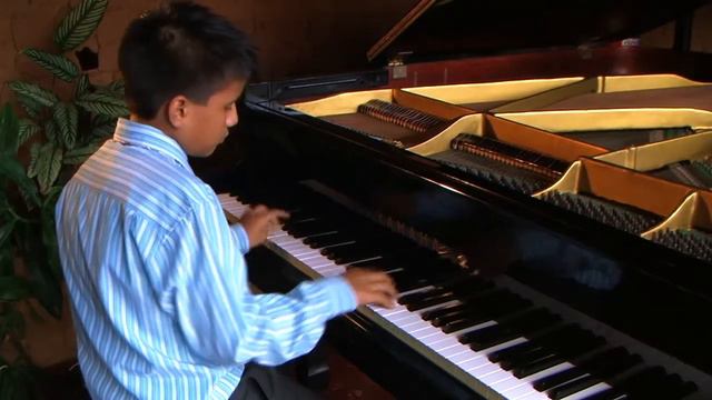 "PARA ELISA" (extracto) Beethoven. David Rengifo. Video Semifinalista Concurso TELEFÓNICA LANG LANG смотреть онлайн