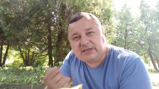 Желтые (временные) номера для АРМЯНСКИХ авто — СМЕРТЕЛЬНАЯ ловушка. ОСА КАЗАХСТАН смотреть онлайн