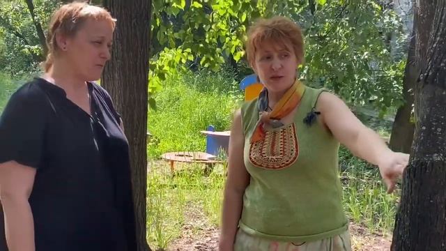 Липы в детском саду - лечим, а не рубим смотреть онлайн