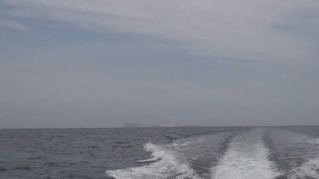 2012 Перу 08 Паракас смотреть онлайн