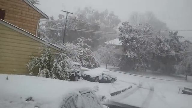 More branches falling смотреть онлайн
