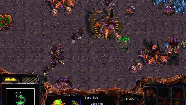 Let's Play Starcraft: Brood War - Part 26 смотреть онлайн