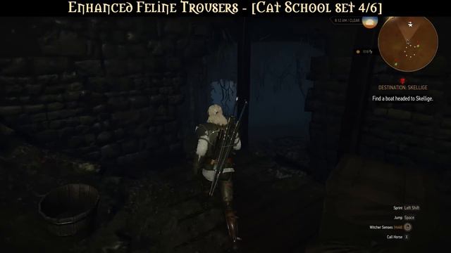 The WItcher 3: Wild Hunt Enhanced Cat (Feline) School Gear Set