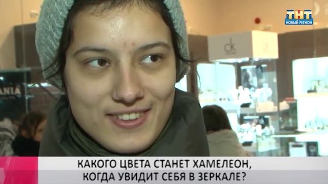 Есть вопрос: КАКОГО ЦВЕТА СТАНЕТ ХАМЕЛЕОН, КОГДА УВИДИТ СЕБЯ В ЗЕРКАЛЕ? смотреть онлайн