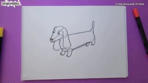 Рисуем таксу