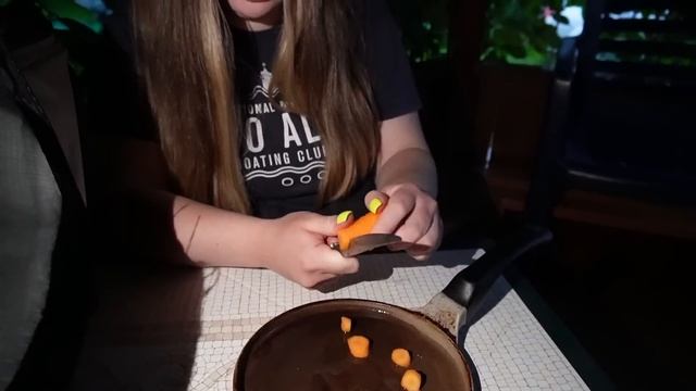 НОЧЬ В ЛЕТНЕМ ДОМИКЕ С КОТАМИ | МОМО ВЕРНУЛАСЬ ЗА НАМИ