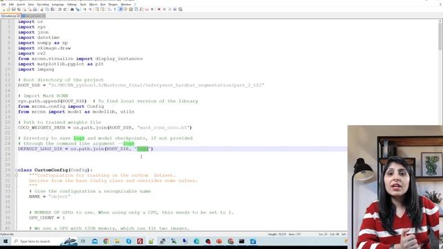 Instance Segmentation Using Mask R-CNN on Custom Dataset смотреть онлайн