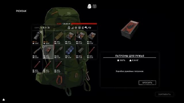 Нашли ружьё, и добрались до домиков на побережье, выживание "The Long Dark" (#13) смотреть онлайн