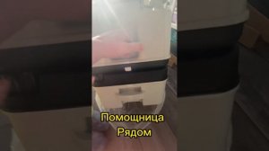 ОБЗОР НА БИОТУАЛЕТ ТОЛИК 24. СНЯТО В ЮМОРИСТИЧЕСКОМ СТИЛЕ))