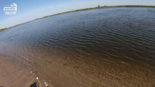 VLOG: "Донки". р. Неман. Хороший клёв. Лещ. Апрель 2019. смотреть онлайн